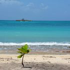 Plage sur l'île de Marie Galante