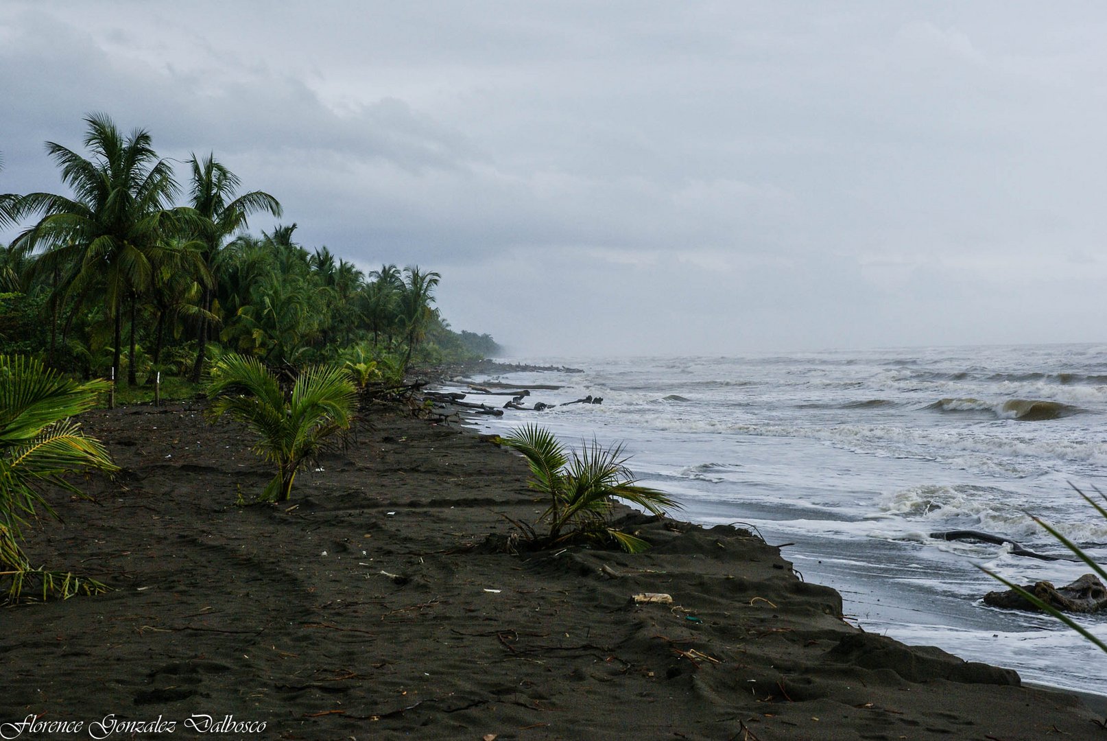 Plage Tortugero Costa Rica-