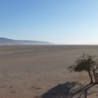 plain at Sossusvlei, Namibia