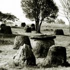 Plain of Jars