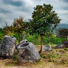 Plain of Jars Site two