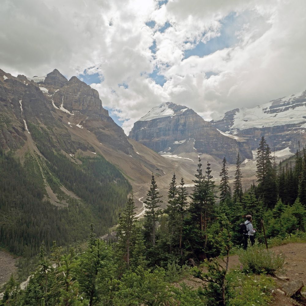 Plain of the six glacier