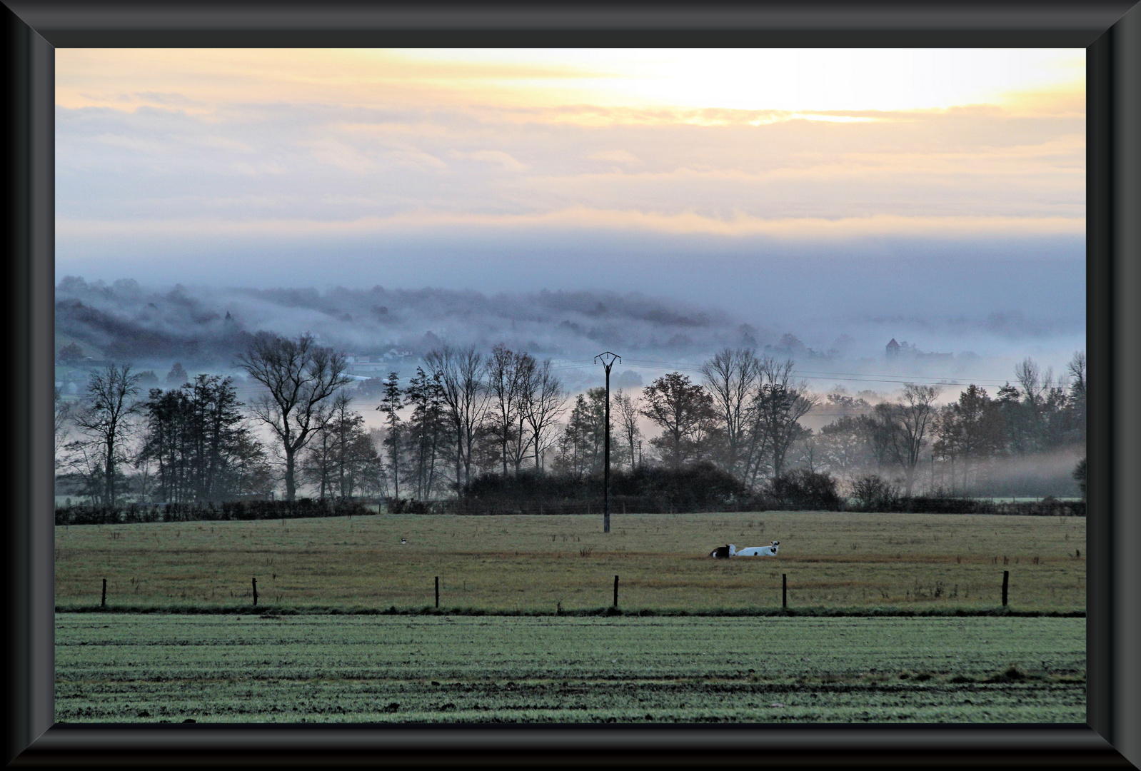 Plaine calme ce matin