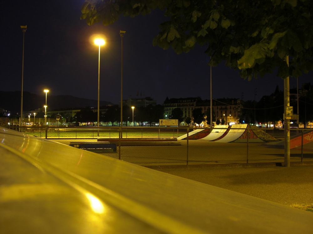 Plaine de Plainpalais à Genève