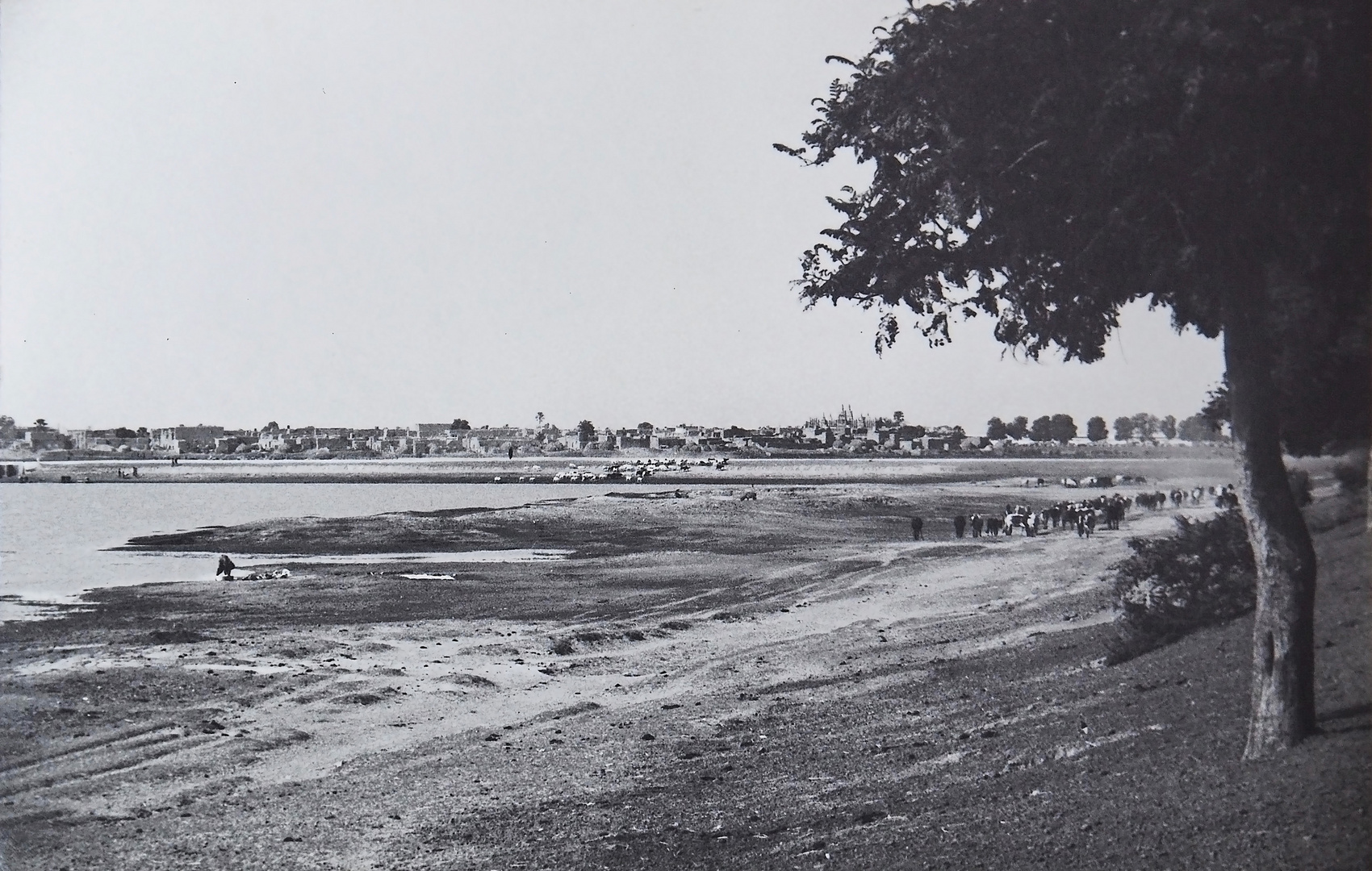 Plaine d’inondation du delta intérieur du Niger près de Djenne