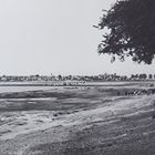 Plaine d’inondation du delta intérieur du Niger près de Djenne