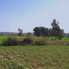 Plaine du Souss dans la région de Souss-Massa-Drâa