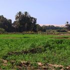 Plaine du Souss dans la région de Souss-Massa-Drâa