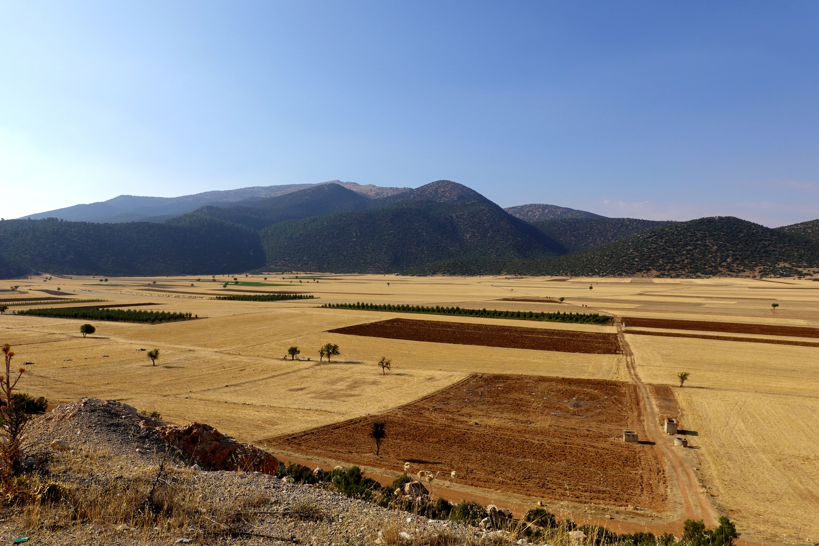 Plaine près d'Antalya en Turquie