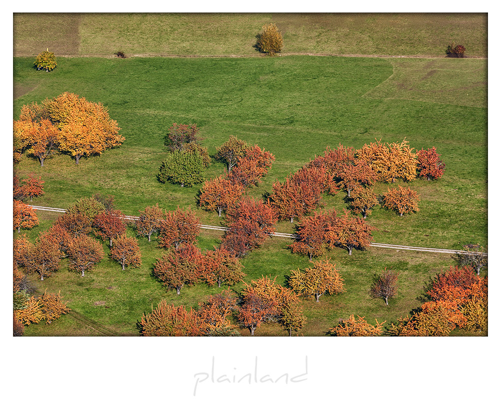 plainland