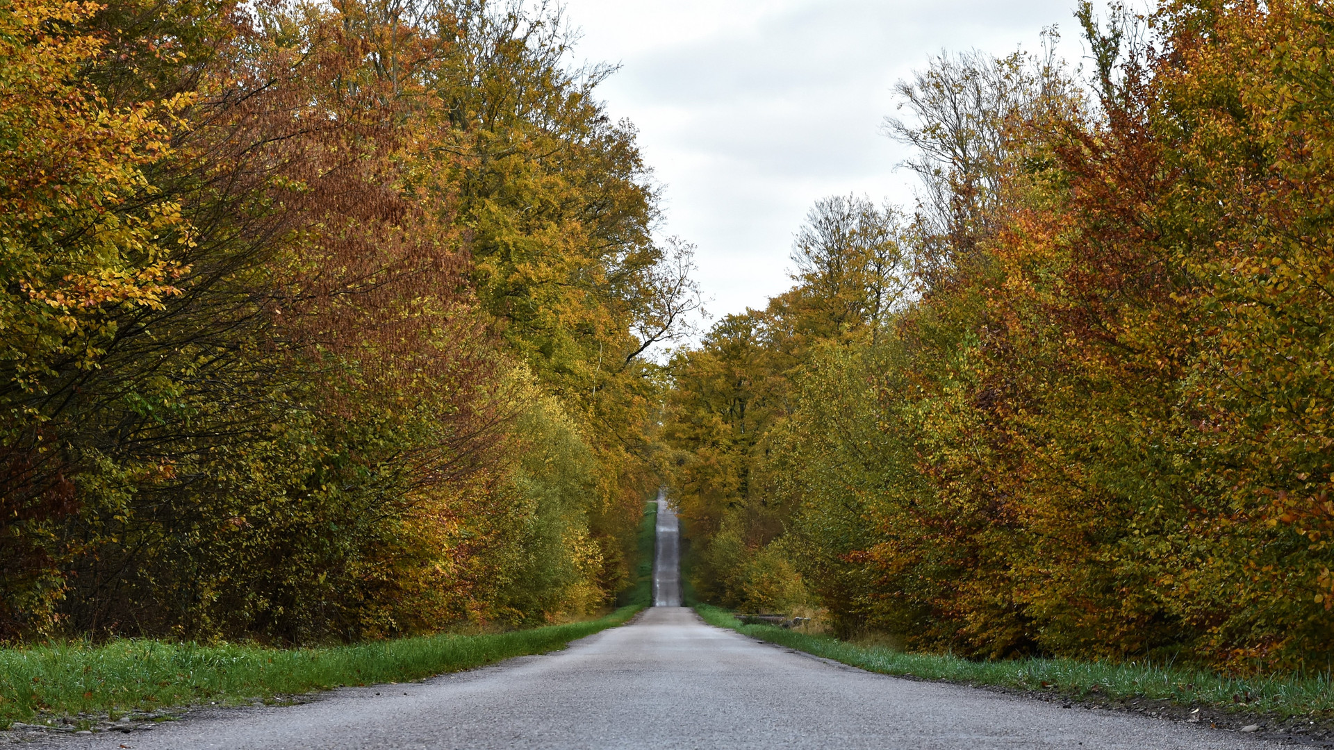 Plaisir d'automne