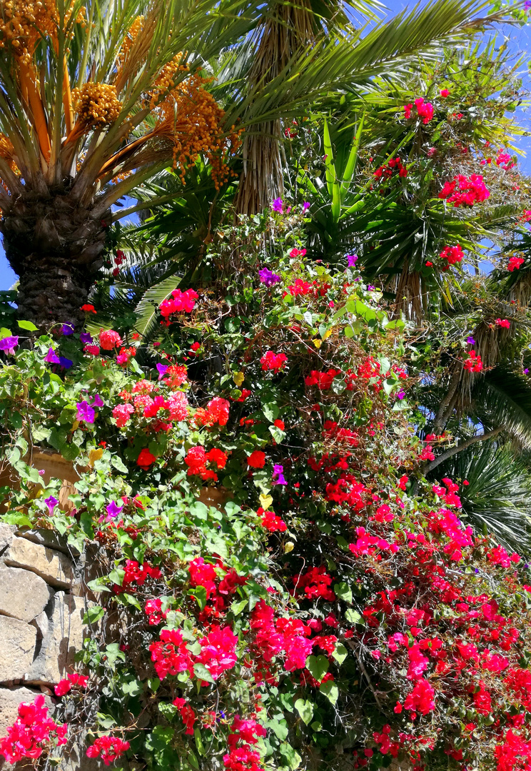 Plaisir des yeux .... Bétancuria, Fuerteventura