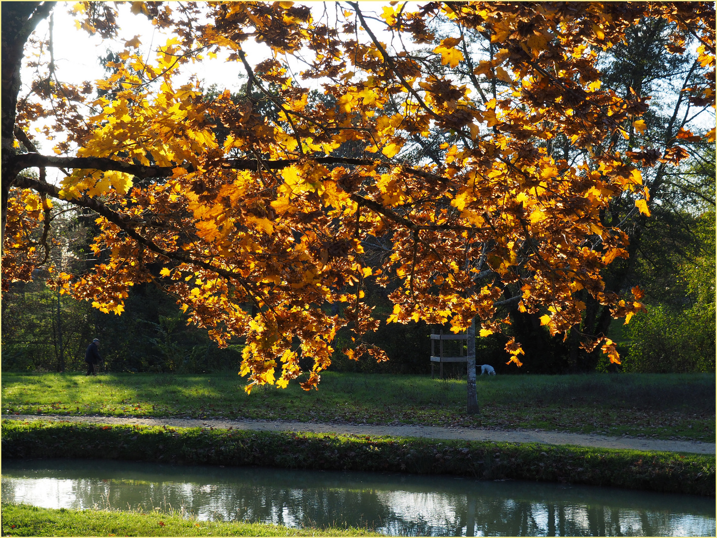 Plaisir des yeux en automne