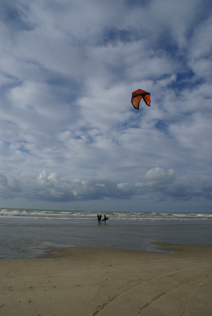 Plaisirs de la mer