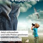 Plakatgestaltung für den Fotoclub-Uhldingen