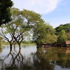 plan d'eau au Cambodge