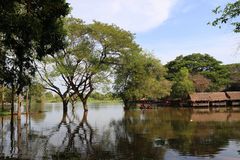 plan d'eau au Cambodge