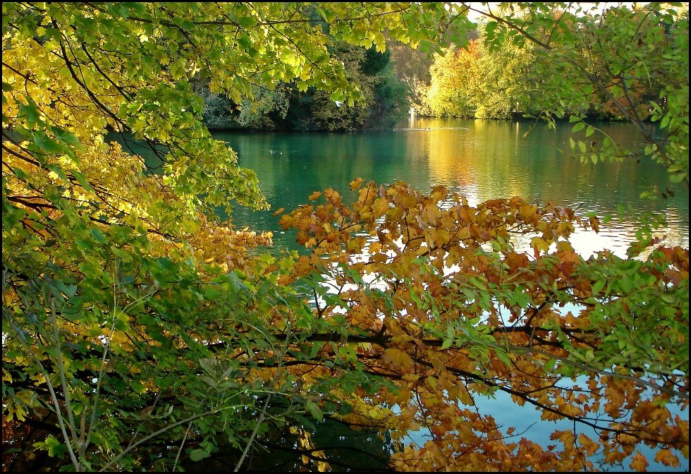 plan d'eau en automne