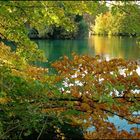 plan d'eau en automne