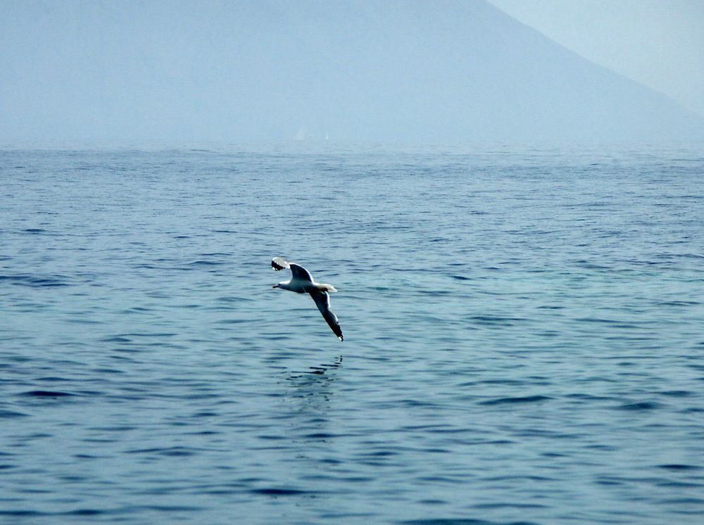 PLANARE DAVANTI A STROMBOLI di roberto marzocchi 