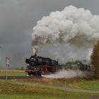 Plandampf 2010...hinter Walthersdorf