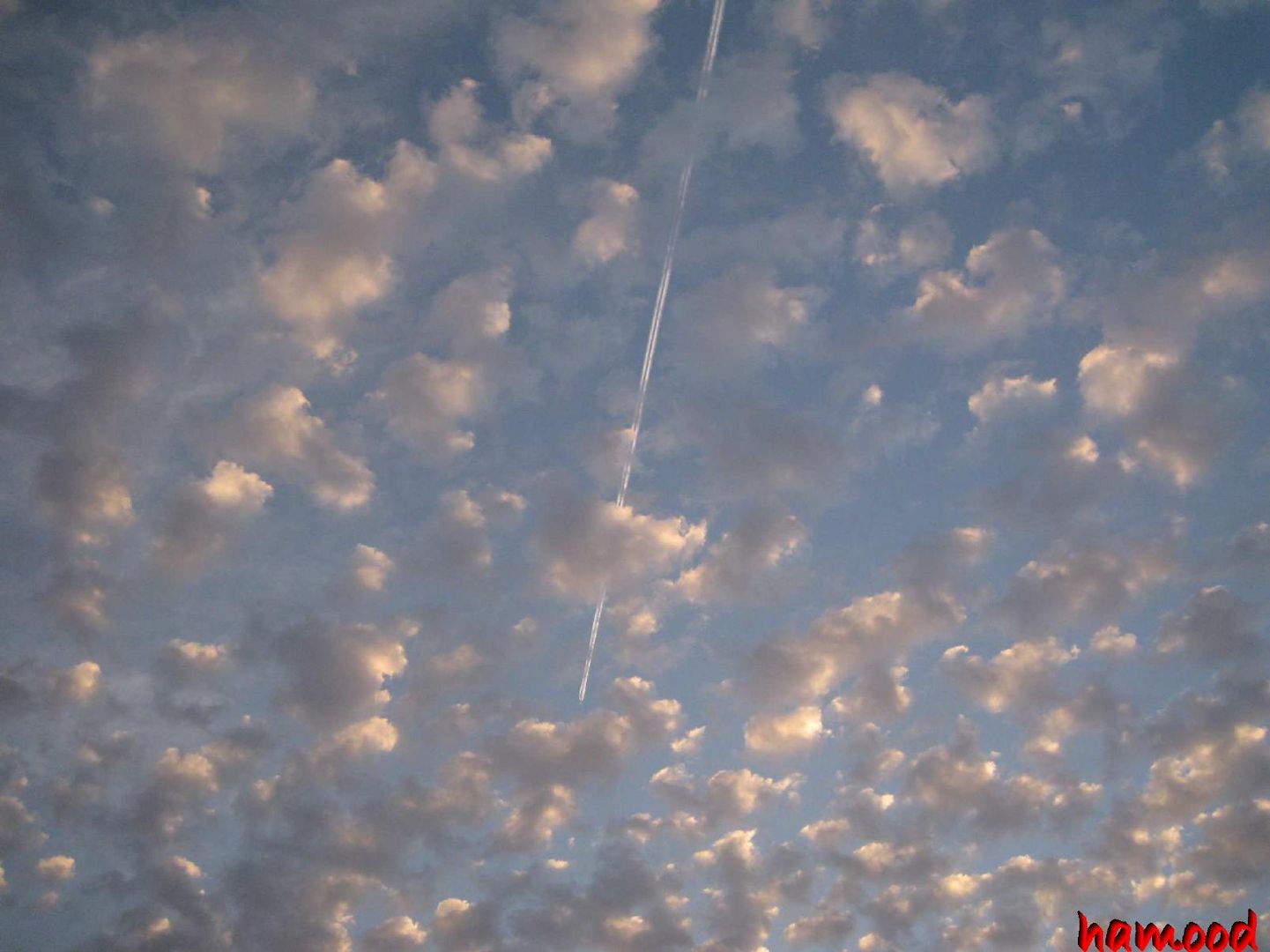 Plane behind the clouds