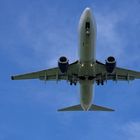 Plane underside 