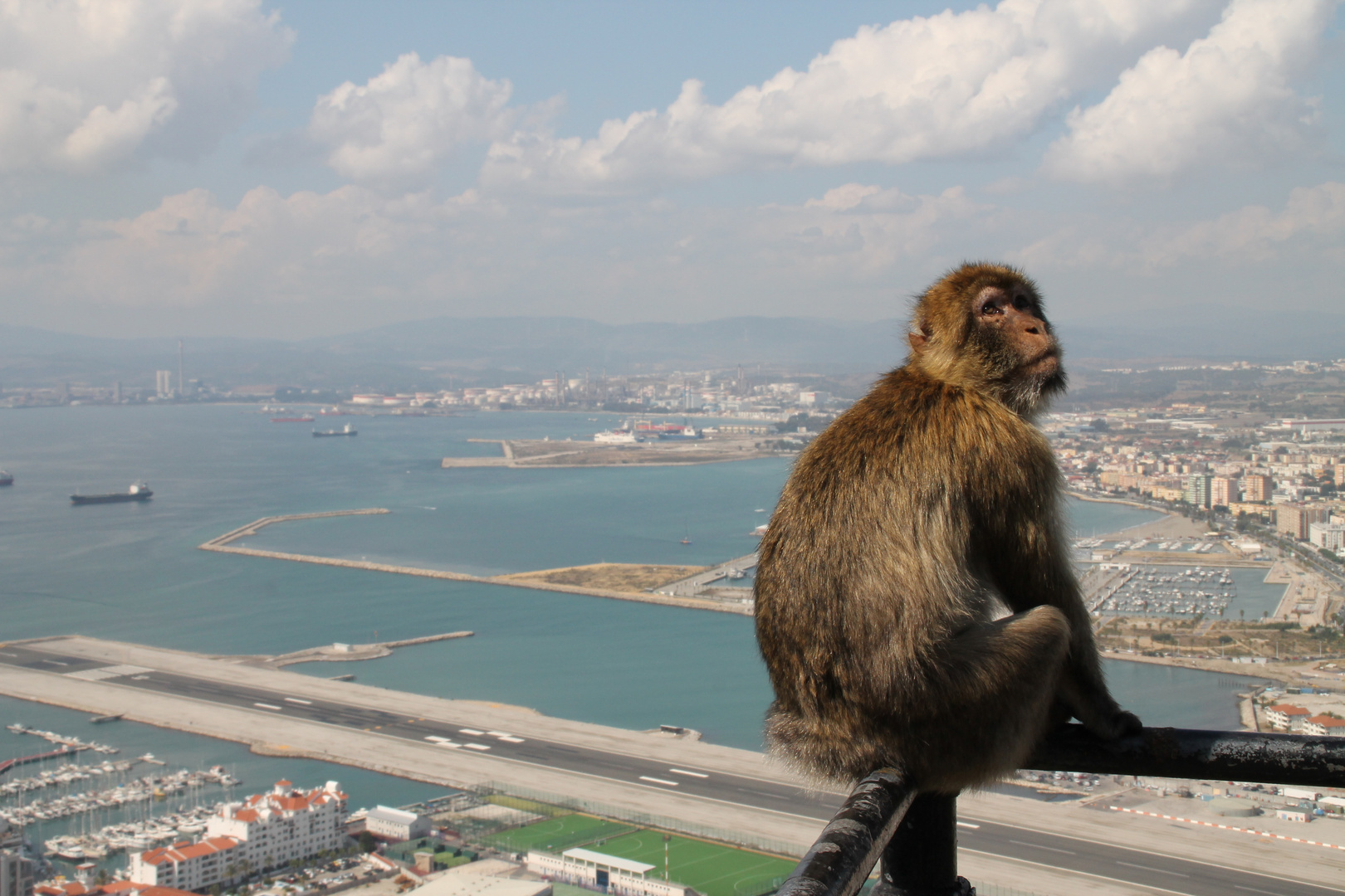 "Planespotter" der anderen Art