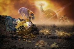 Planet Pumpkin
