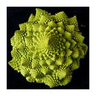 Planet Romanesco