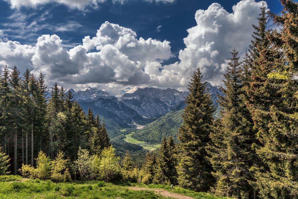 Planica