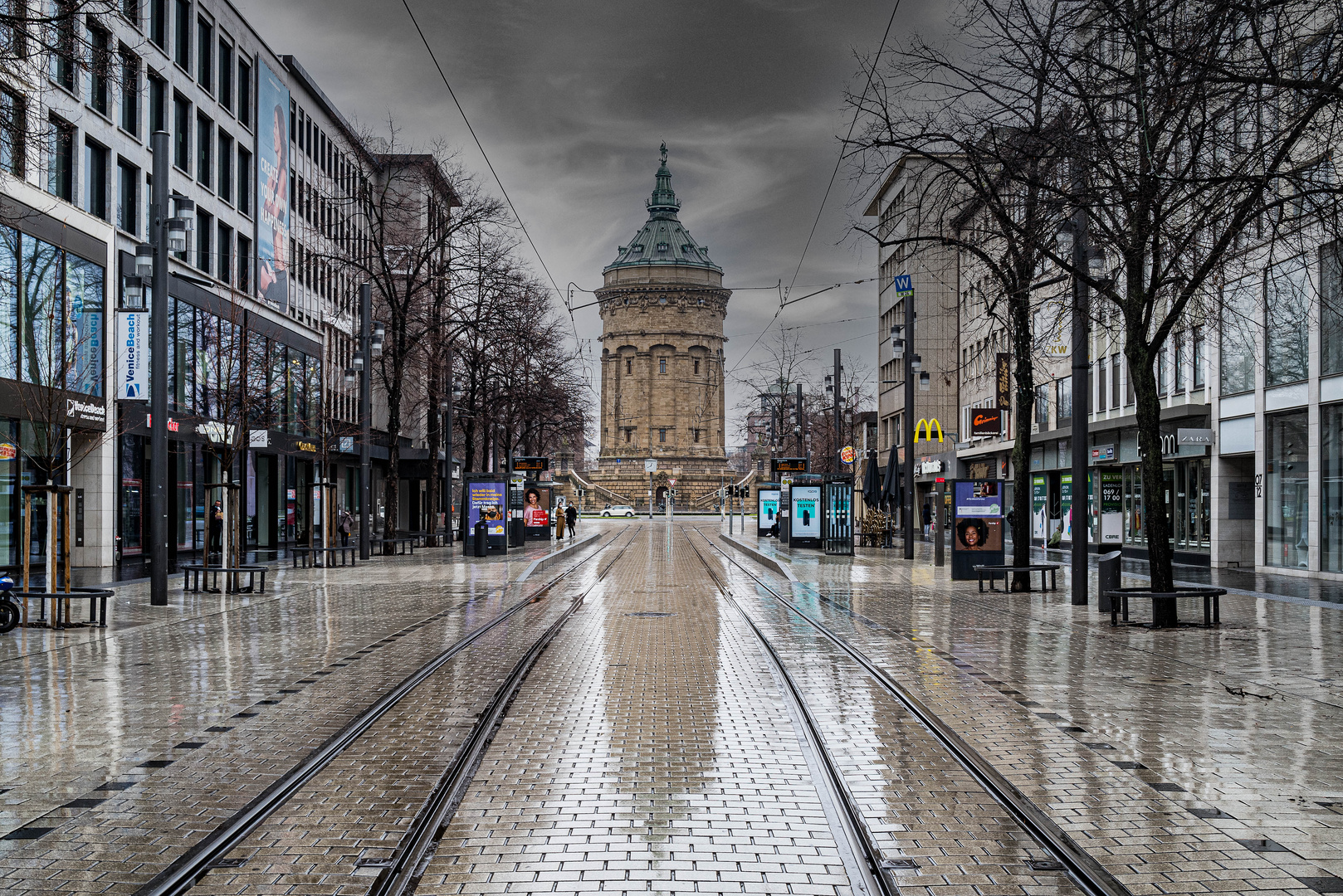 Planken nach dem Regen