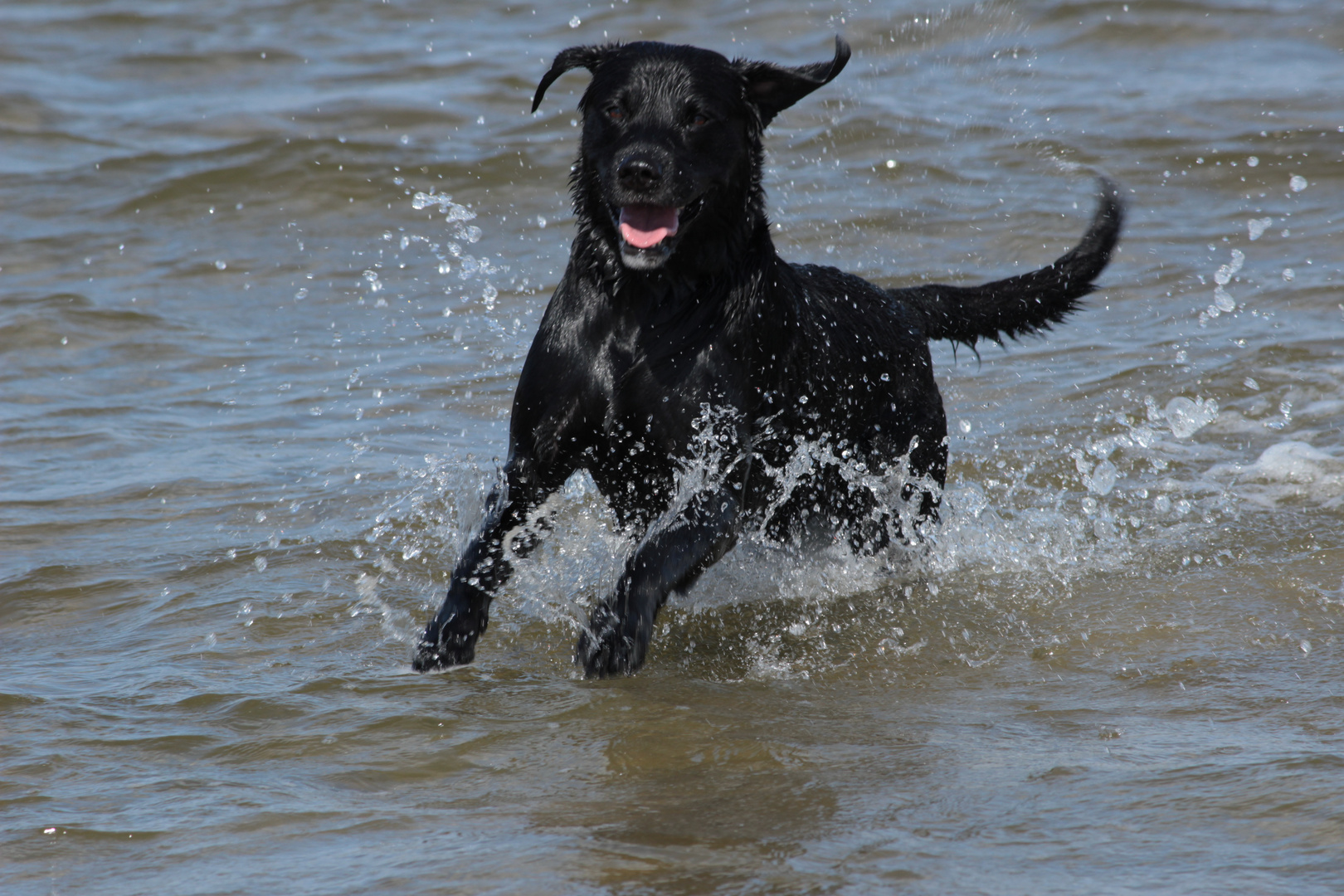 Planschen im Meer