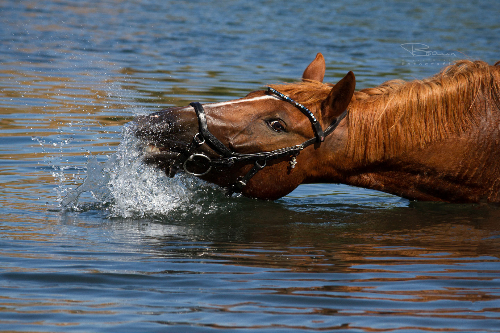 Planschen im Wasser