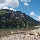 Plansee bei schönem Wetter