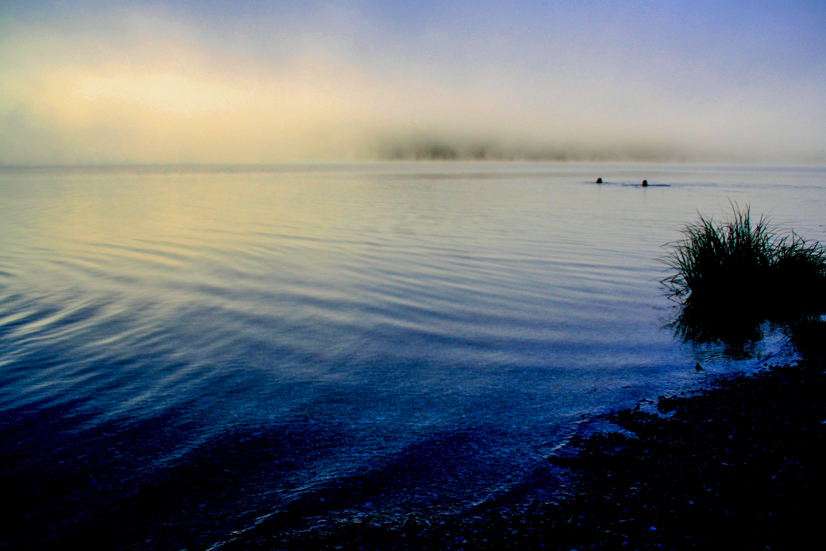 Plansee im Morgennebel