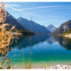 Plansee in Tirol