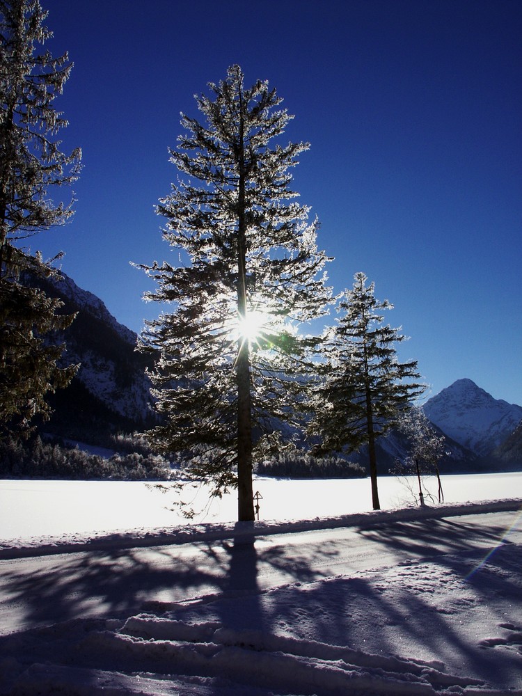 Plansee Januar 2002