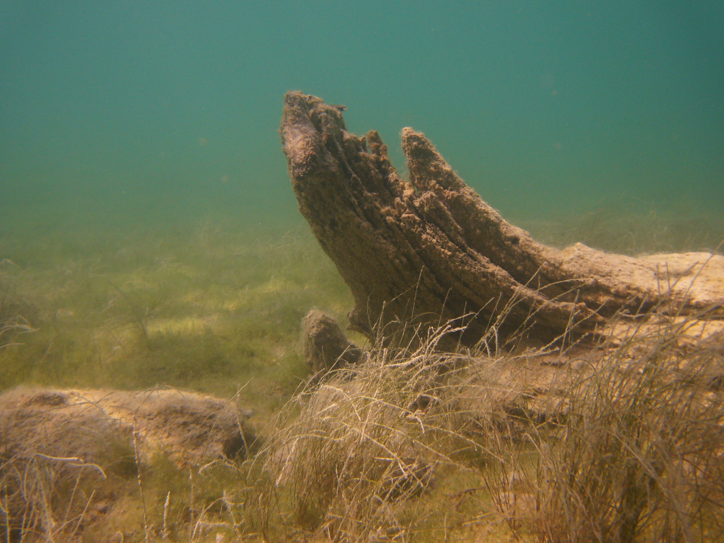 Plansee Unterwasser