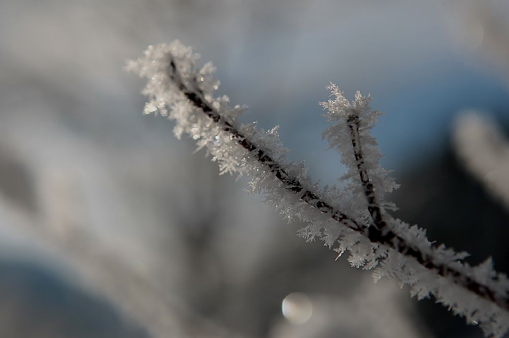 Plansee Winter