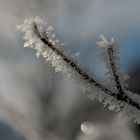 Plansee Winter