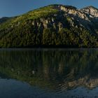 Planseepano