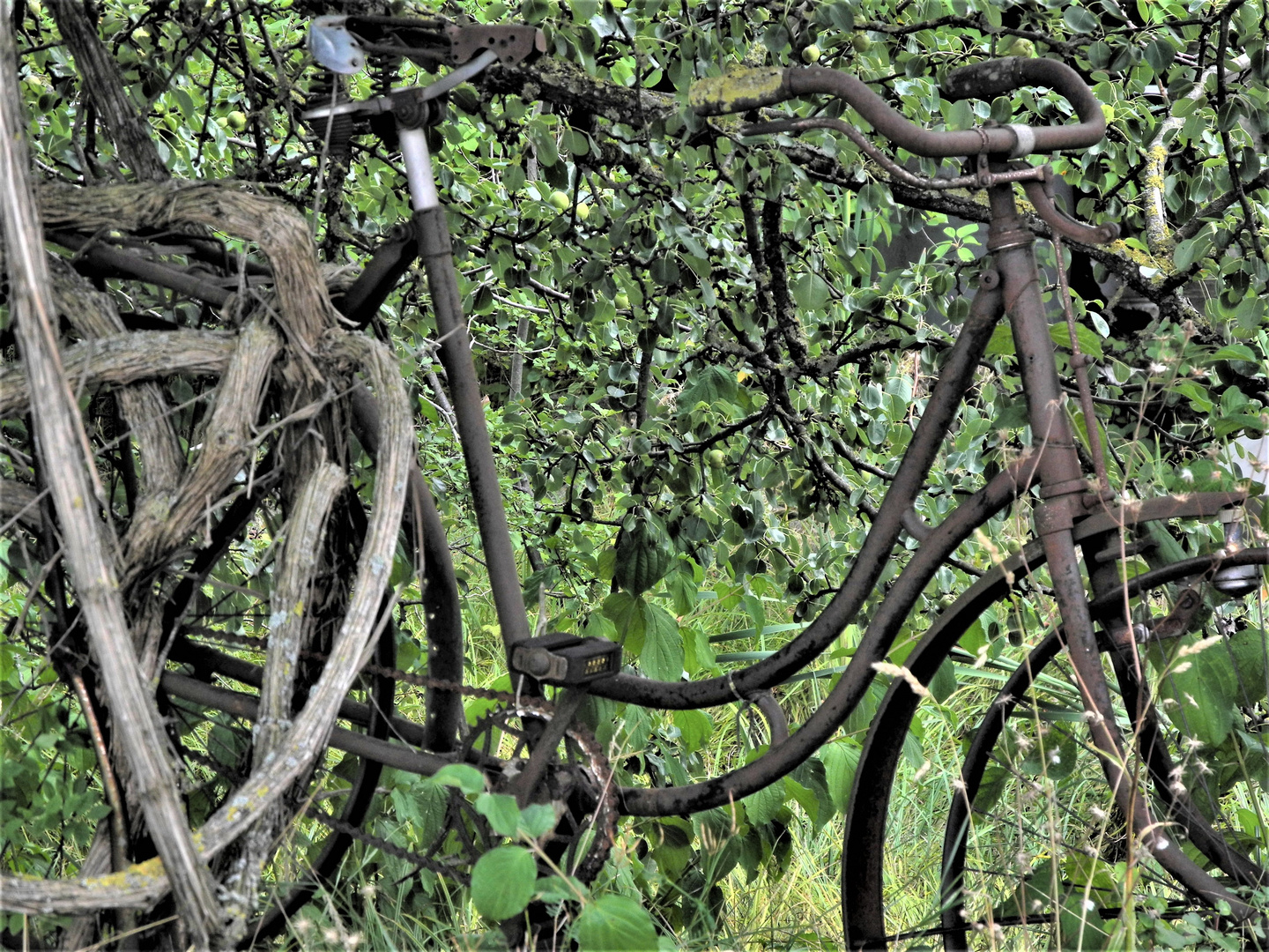 Plant Eure nächsten Radltour sorgsam...