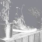 Plant Shoe