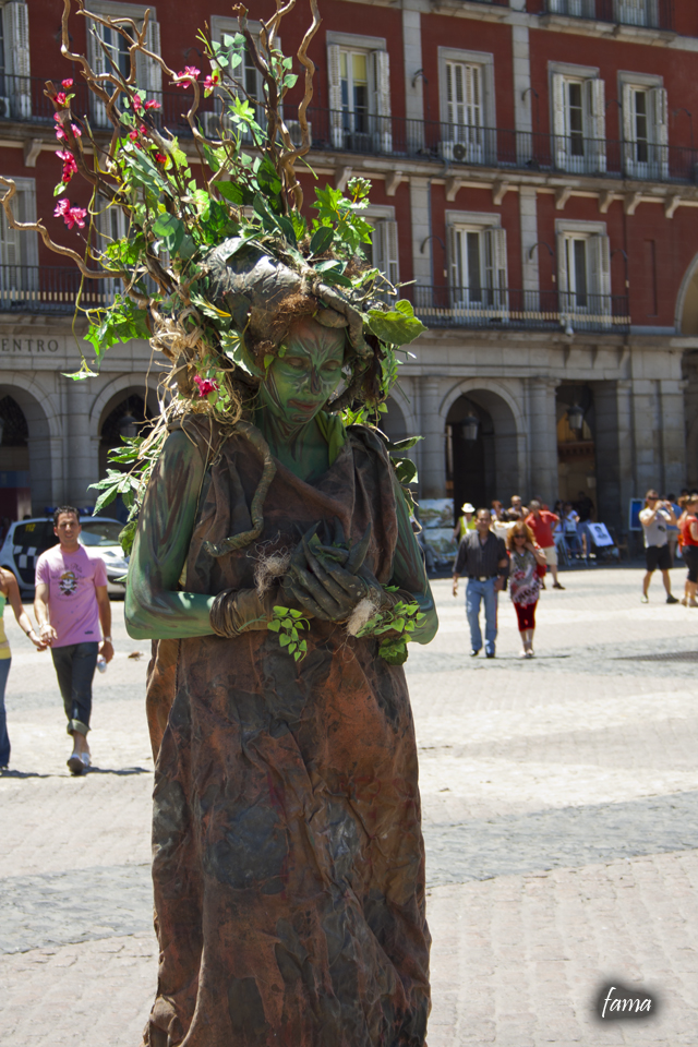 Planta humana en la Plaza Mayor