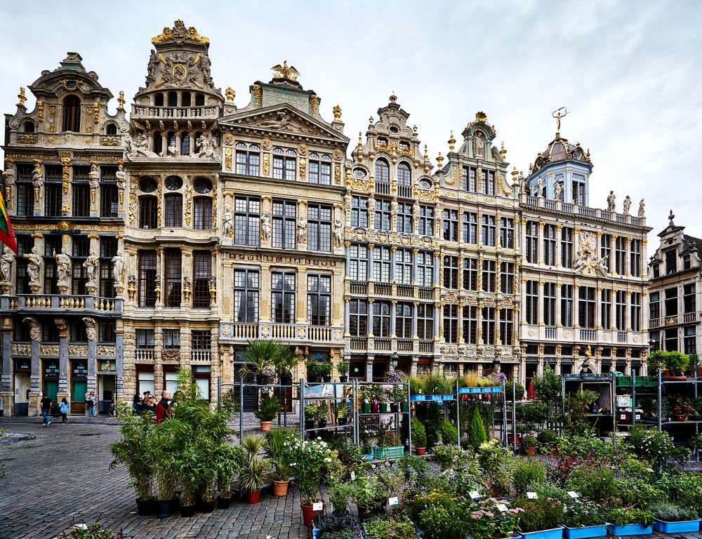 Plantas en la Gran Plaza