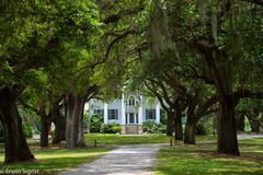 Plantation-House