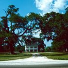 Plantation Road, LA - 1988