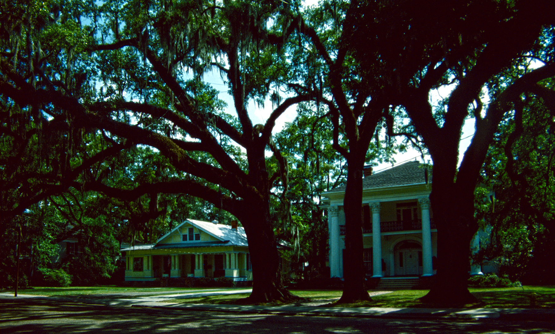 Plantation Road, LA - 1988