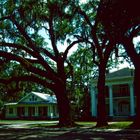 Plantation Road, LA - 1988